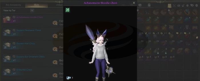 Lost Ark Artist Skins